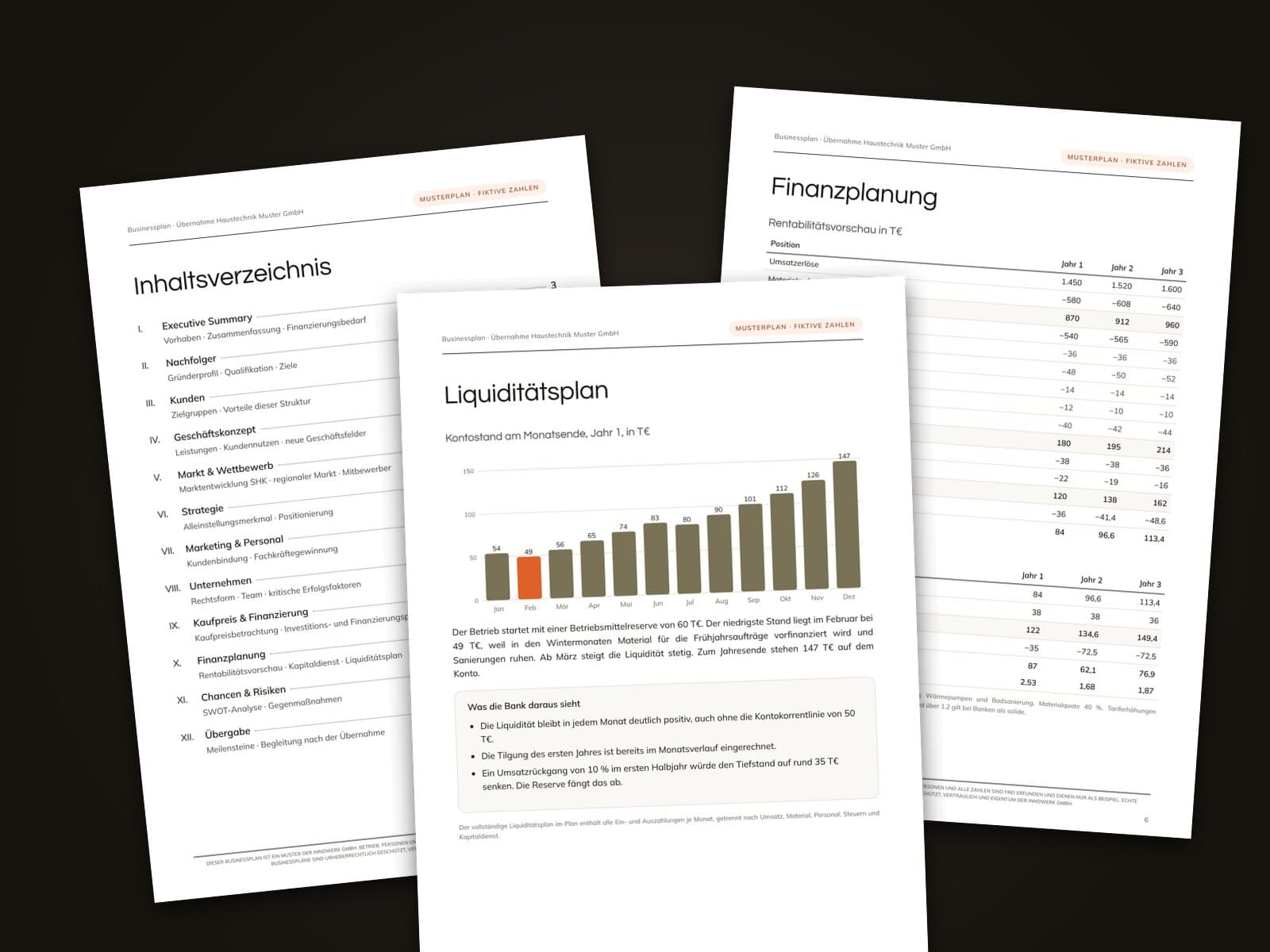 Drei Seiten aus dem Musterplan eines Businessplans: Inhaltsverzeichnis, Liquiditätsplan und Finanzplanung